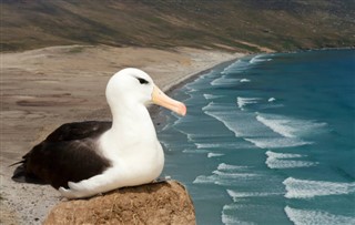 Falklando
