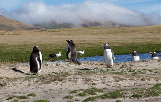 Falklando salos laiko juostos