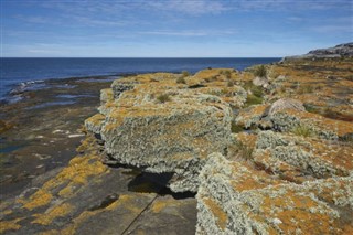 フォークランド諸島