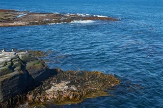 Falklandsöarna