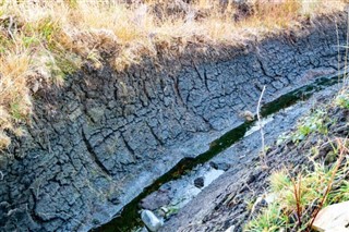 جزر