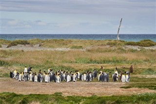Falkland Isole fusi orari