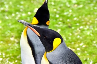 Falklandski otoci vremenske zone