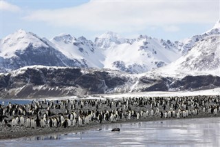 Falklando
