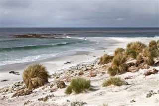 Falklandsøerne