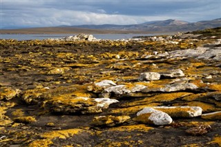 フォークランド諸島