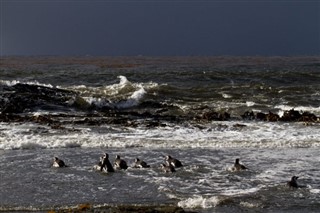 フォークランド諸島