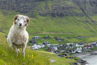 Faroe