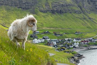 Faroe