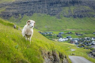 Faroe