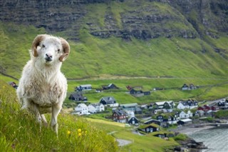 Faroe