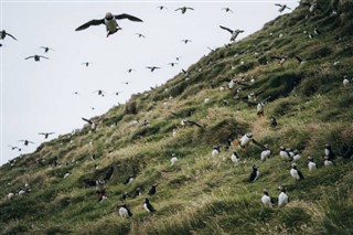 Faroe