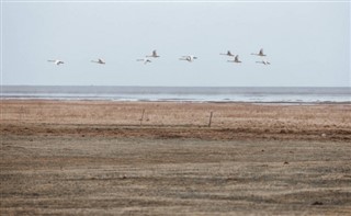フェロー諸島島 気象ゾーン