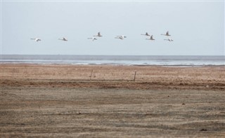 フェロー諸島島