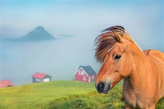 Faroe