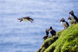 Faroe