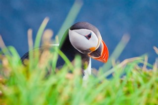 Färsaarten aikavyöhykkeitä