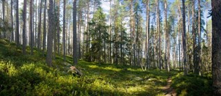 Finlandiya