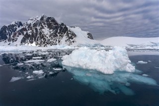 Френски