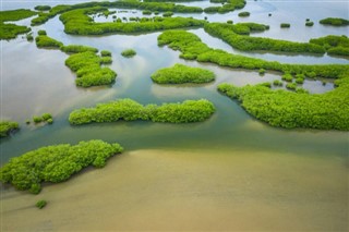 গাম্বিয়াদেশ