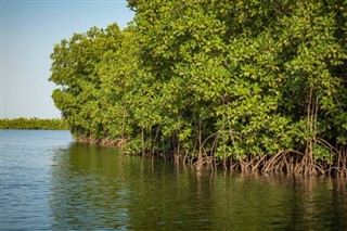 গাম্বিয়াদেশ