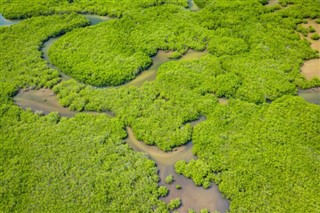 গাম্বিয়াদেশ