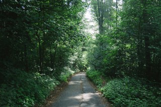 جرمنی