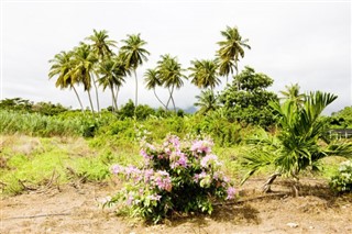 গ্রেনাডা