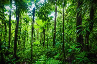 Guadeloupe vremenske zone