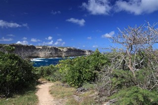 グアドループ島