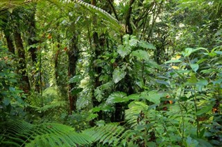 Guadeloupe