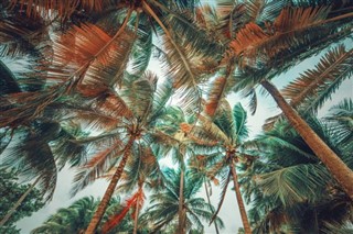 Guadeloupe time zones
