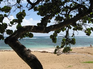 グアドループ島