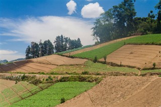 গুয়াটেমালা