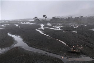 Guayana