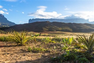 Guayana