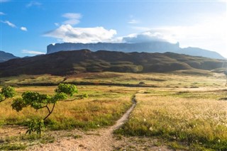 Gvajana vremenske zone