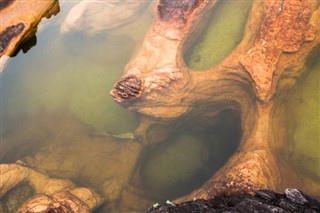 Guayana