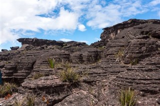 Guayana