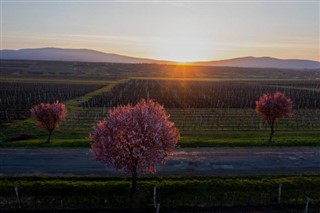 Hungary