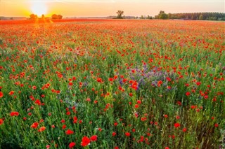 Hungary