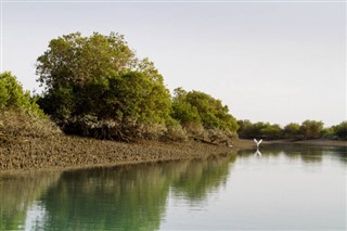 イラン