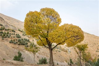 إيران