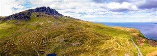 insula