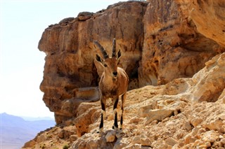 イスラエル