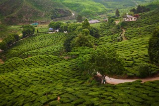 Jamaika