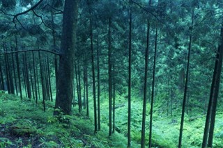 जापान