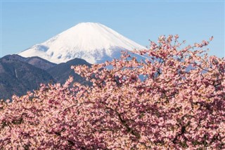 Japonia