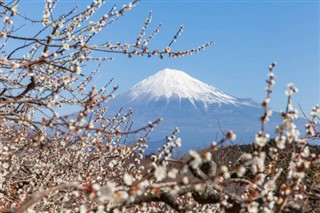 日本