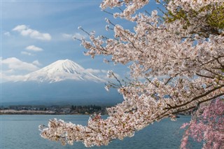 Japonia